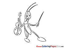 Grasshopper free Colouring Page download