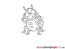 Ladybug Coloring Pages for free