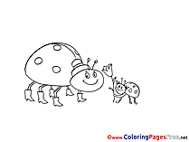 Ladybugs Colouring Sheet download free