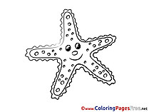 Coloring Pages for free Starfish