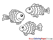 Colouring Sheet download free Fishes