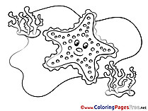 Free Colouring Page Starfish download