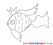 Golden Fish free Colouring Page download