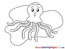 Kids download Coloring Pages Octopus