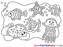 Marine Animals Children download Colouring Page