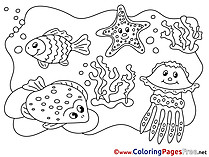 Marine Animals Children download Colouring Page