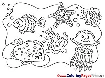 Marine Animals Children download Colouring Page