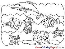 Marine Animals printable Coloring Sheets download