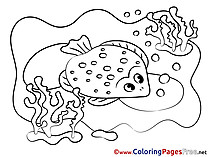 Scat download Colouring Sheet free