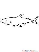 Shark Children Coloring Pages free