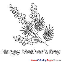 Mimosa for Kids Mother's Day Colouring Page