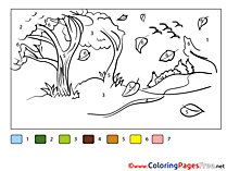 Forest Colouring Sheet download Painting by Number