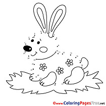 Rabbit printable Coloring Pages Painting by Number
