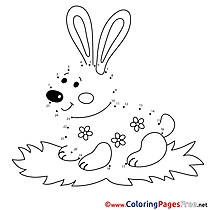 Rabbit printable Coloring Pages Painting by Number