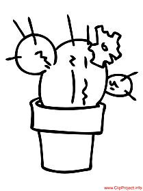 Coloring sheet cactus plants