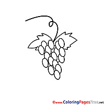 Grapes Coloring Pages Communion