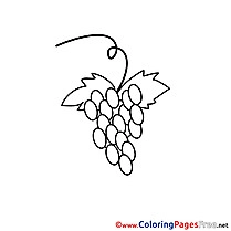 Grapes Coloring Pages Communion