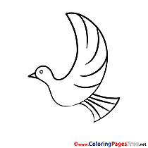 Confirmation Coloring Pages download Pigeon