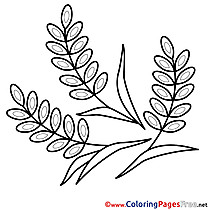 Kids Confirmation Coloring Pages