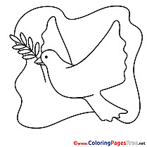 Pigeon Confirmation Coloring Pages download