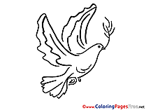 Coloring Sheets Pigeon Pentecost free