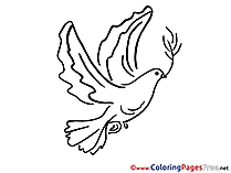 Coloring Sheets Pigeon Pentecost free