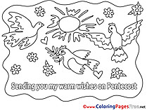 Flowers Pigeon for Kids Pentecost Colouring Page