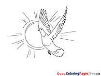 Free Colouring Page Sun Pigeon Pentecost