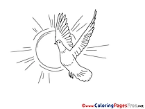 Free Colouring Page Sun Pigeon Pentecost