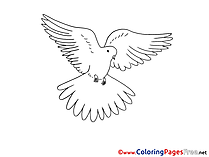 Illustration Pigeon Pentecost Colouring Sheet free