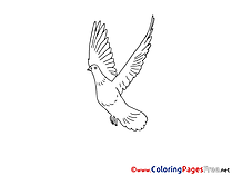 Kids Pentecost Coloring Pages