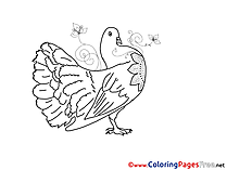 Kids Pentecost Pigeon Coloring Page