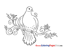 Olive Coloring Sheets Pentecost free