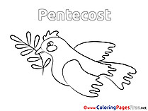 Olive for Kids Pentecost Colouring Page