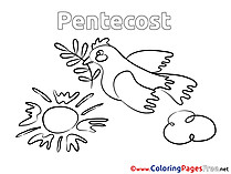 Olive Pigeon printable Coloring Pages Pentecost