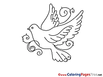 Pentecost Coloring Pages free Pigeon