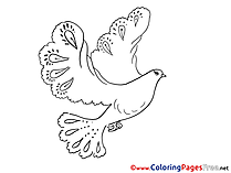 Pentecost Coloring Pages Pigeon download