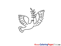 Pentecost free Coloring Pages