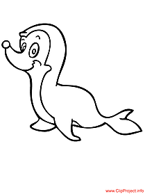 Seal coloring page for free