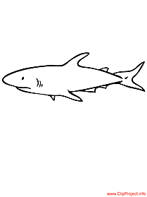 Shark coloring page free