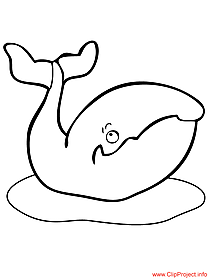 Whale coloring page