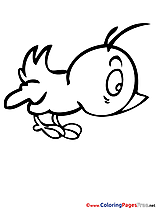 Bird Spring Coloring Pages download