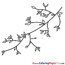 Branch download Spring Coloring Pages