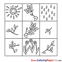 Coloring Sheets Spring free Flowers