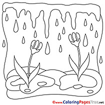 Coloring Sheets Spring free Rain Flowers