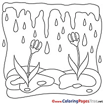Coloring Sheets Spring free Rain Flowers