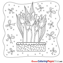 Colouring Sheet download Spring Flowers