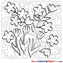 Flowers Coloring Pages Spring