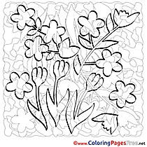 Flowers Coloring Pages Spring