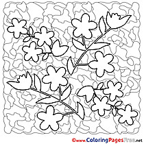 Flowers free Colouring Page Spring